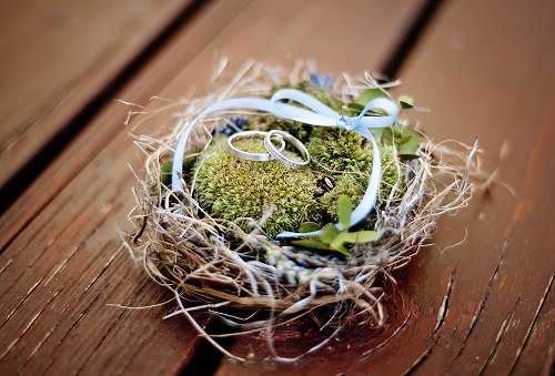 Birds Nests - rustic wedding ideas