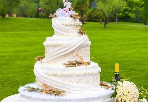 The floral nature cake