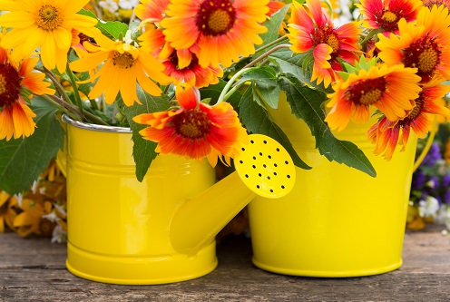 Vintage Watering Cans - rustic wedding ideas