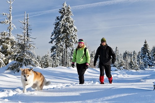 Snowshoeing