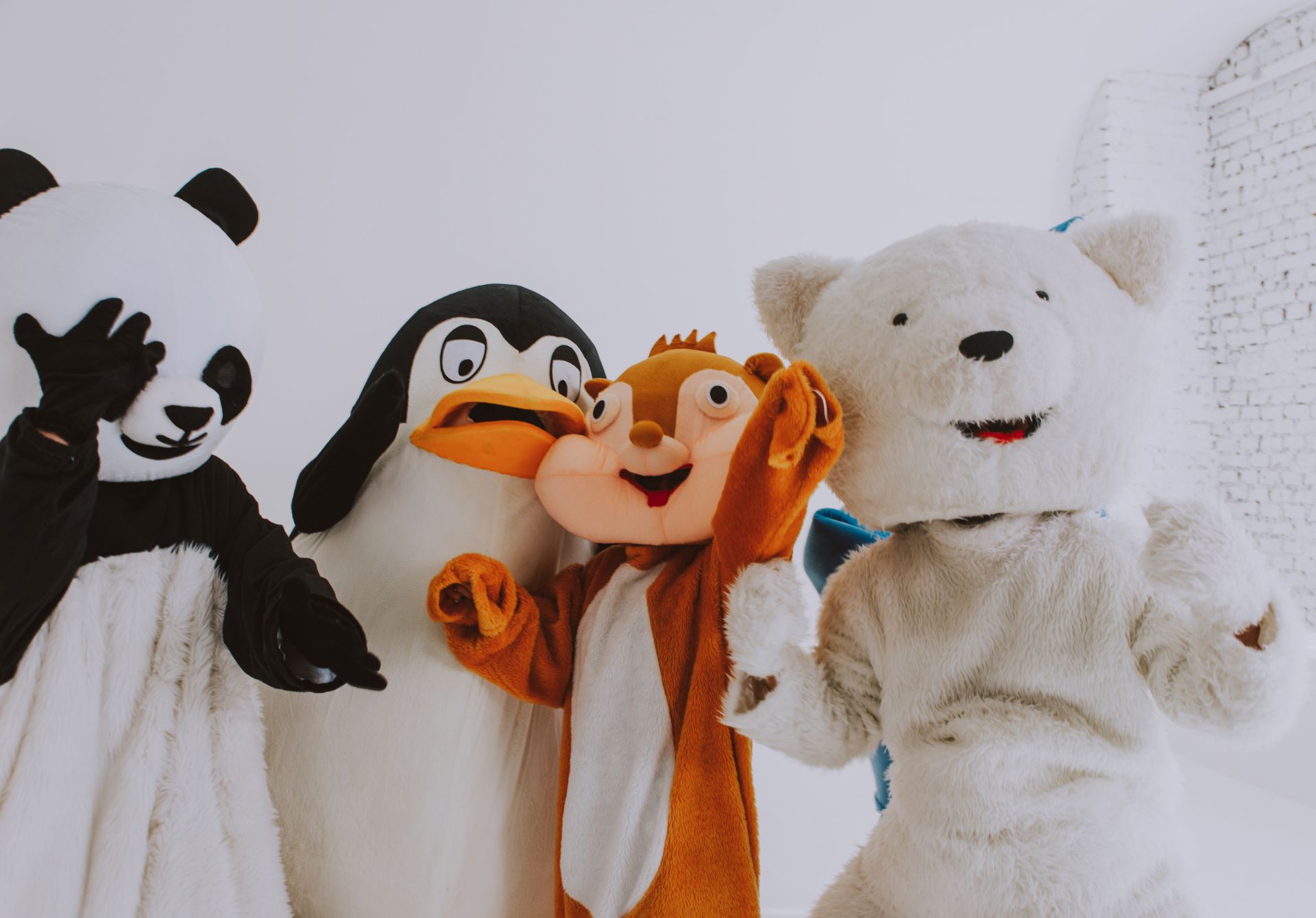 Animal costumes