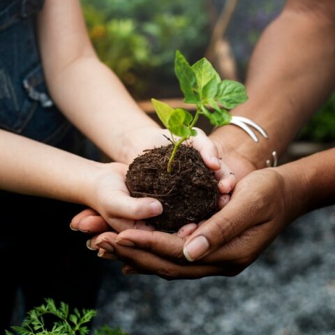 10 Ways to Teach Children to Be Eco-Conscious