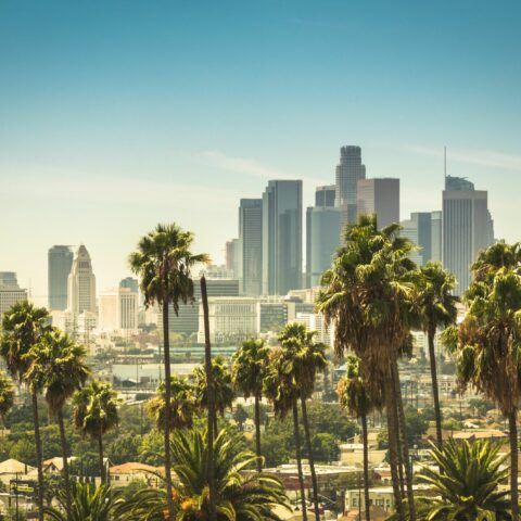 Image of What You Really Need to See and Do in Los Angeles