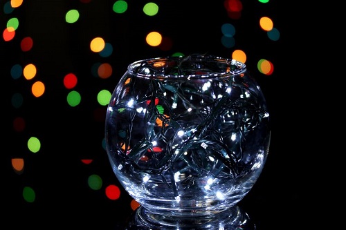 Fairy Light Vase