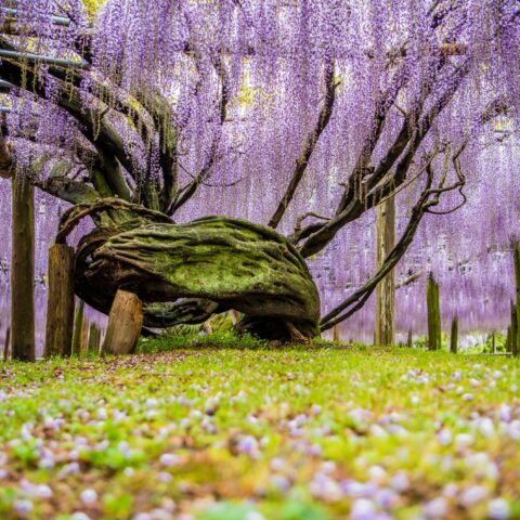 Image of 11 Unique Places to Discover This Summer