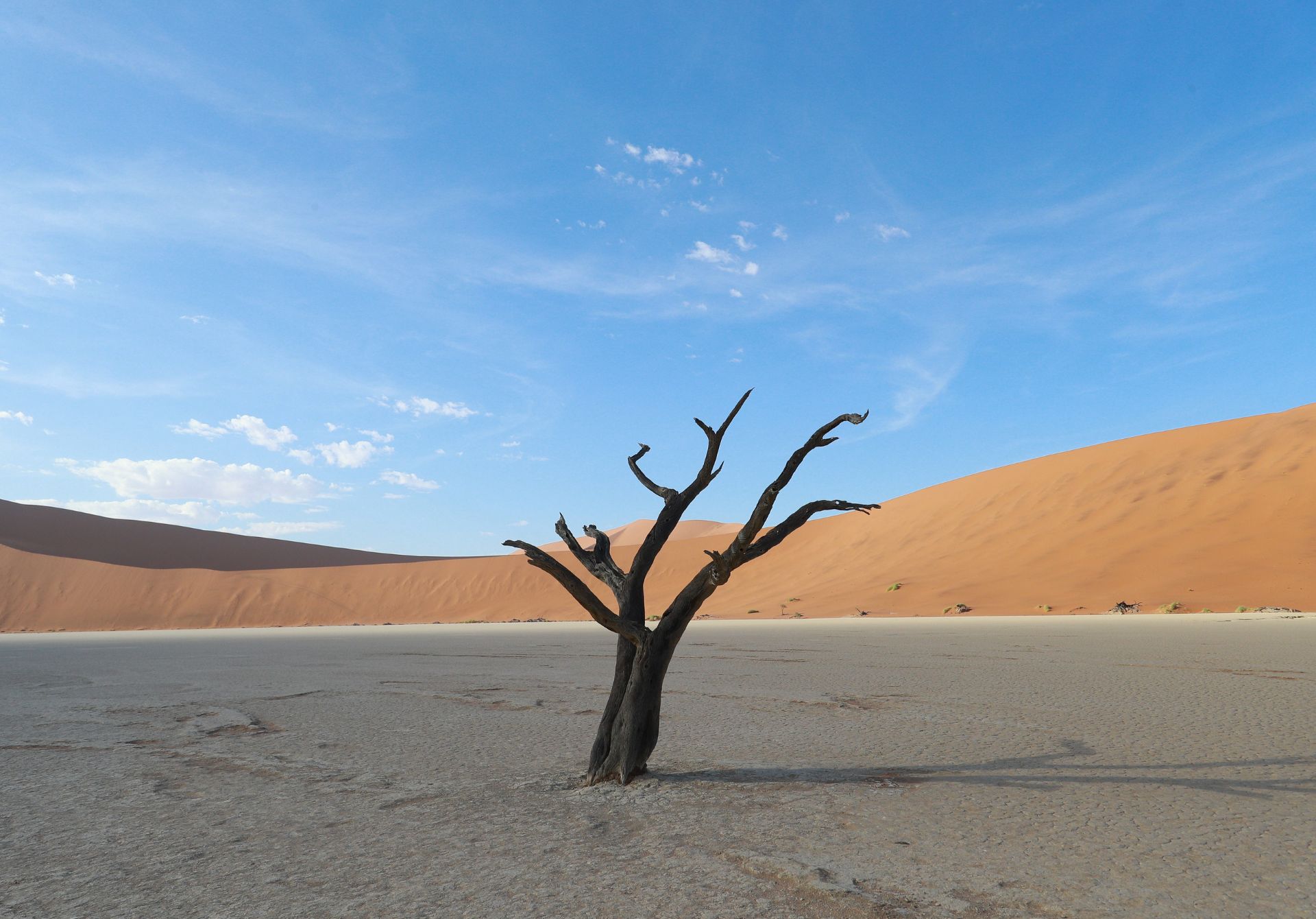 Deadvlei