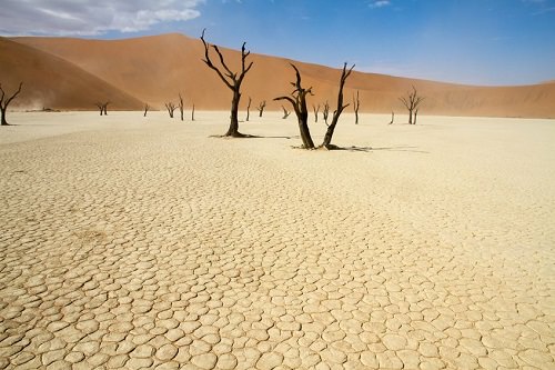 Deadvlei