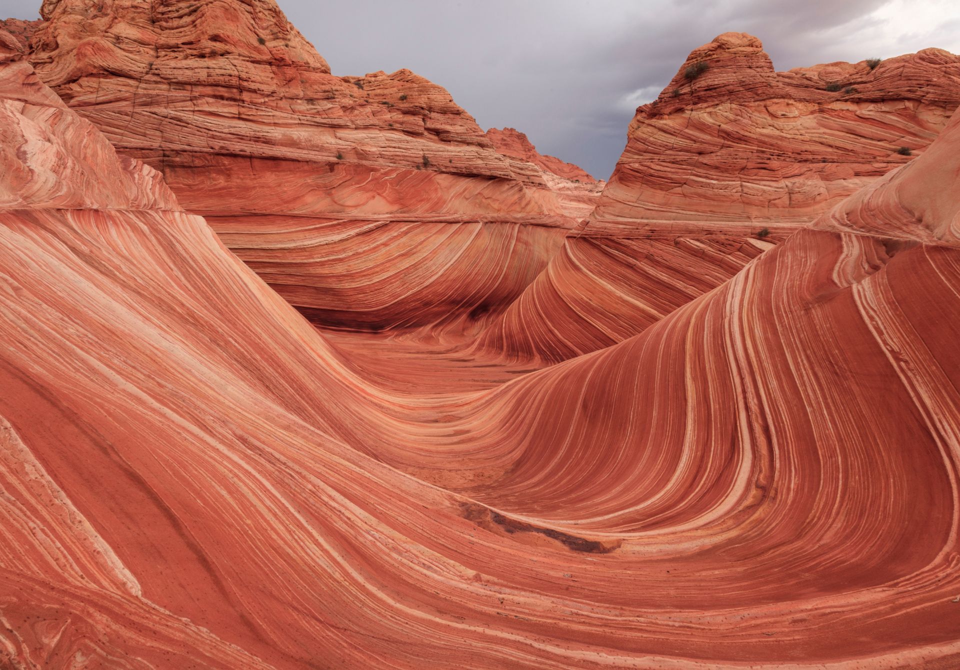The Wave, Arizona