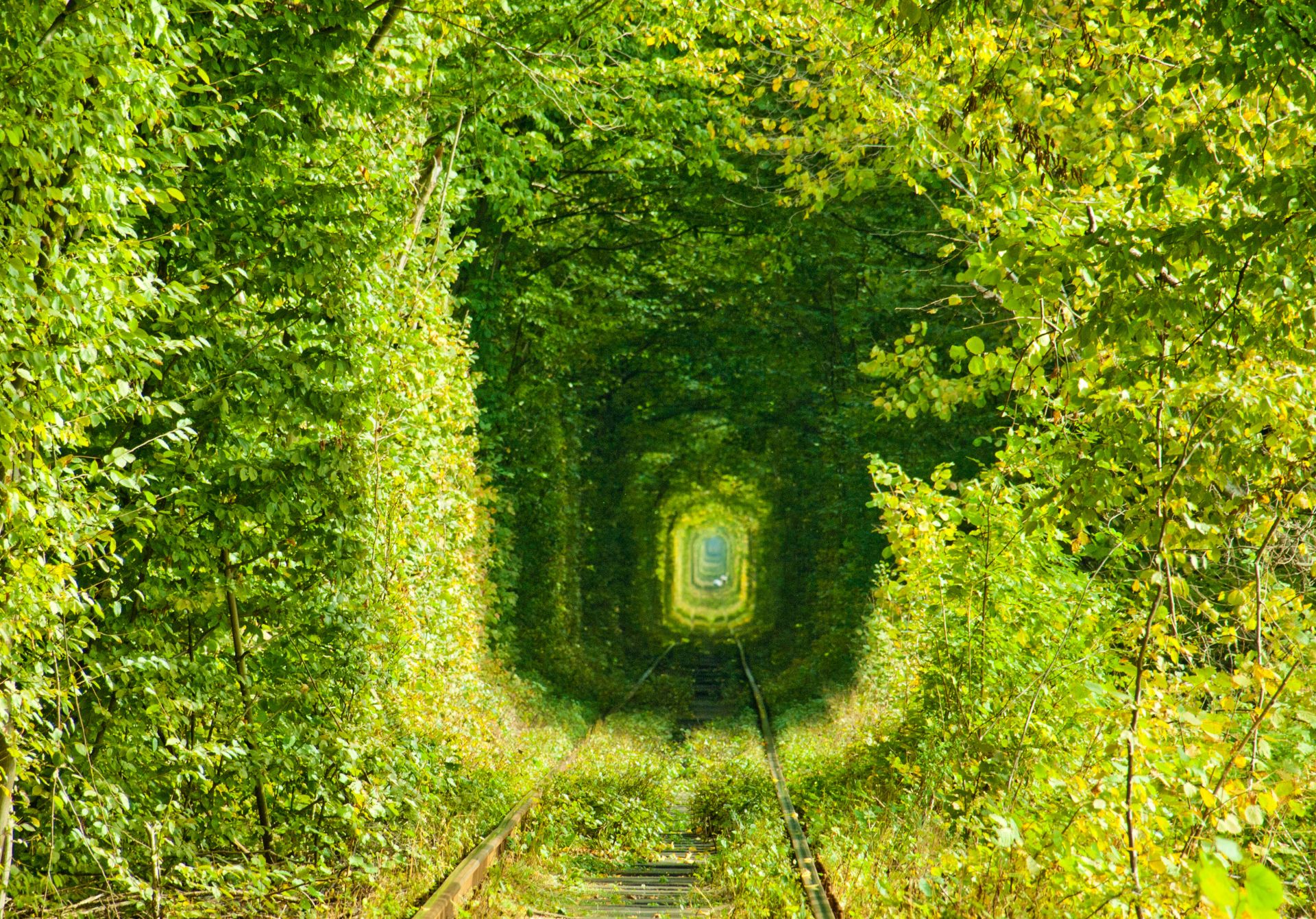 Tunnel of Love, Ukraine