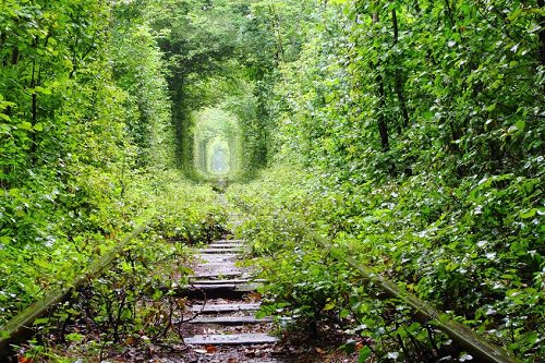 Tunnel of Love, Ukraine