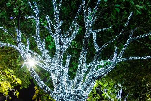 Tree Adornments