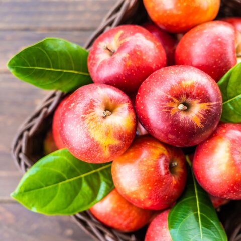 5 Reasons Your Child Should Eat an Apple a Day