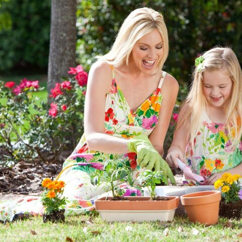 6 Awesome Reasons Why You Should Take Up Gardening