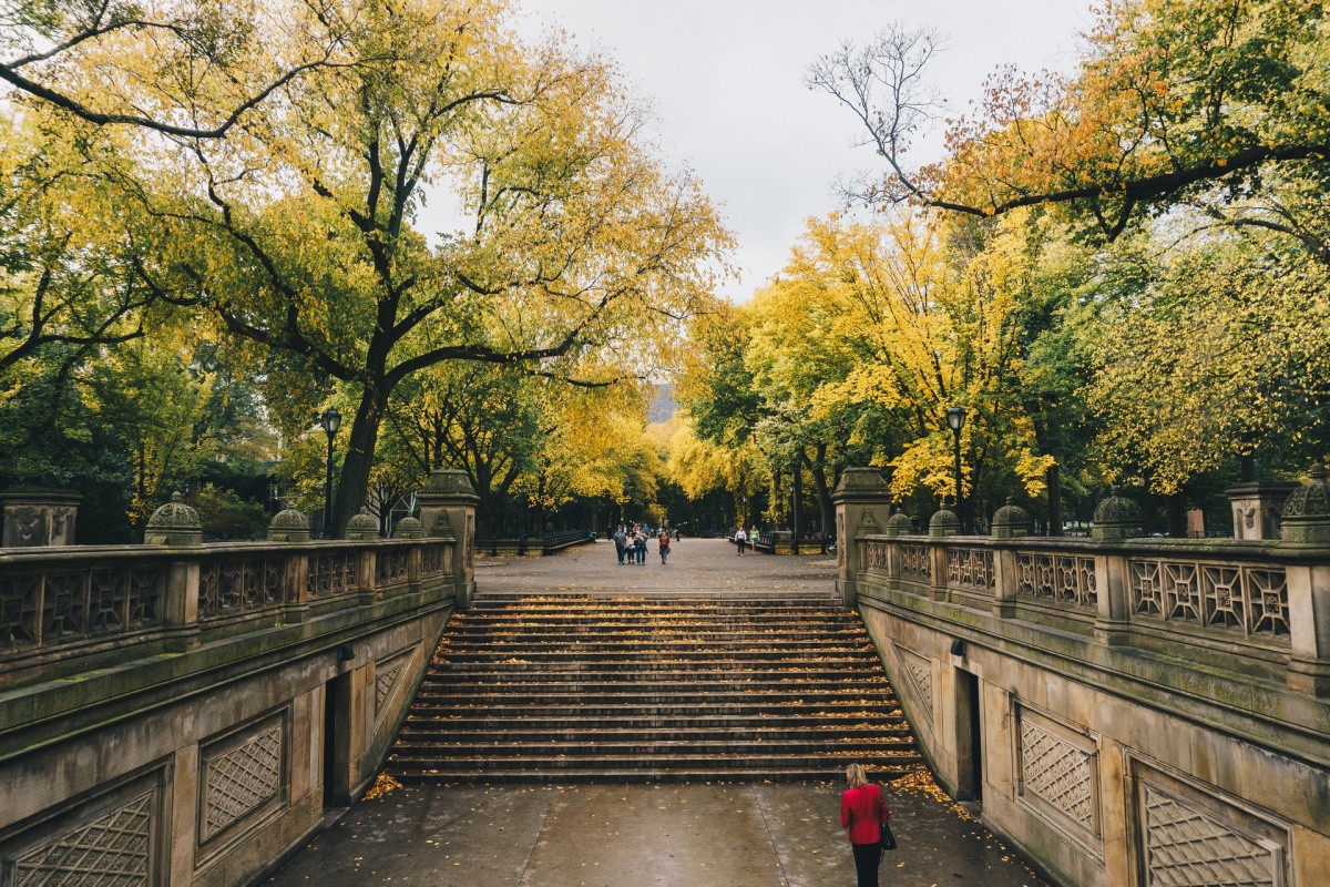 Central Park Mall, New York