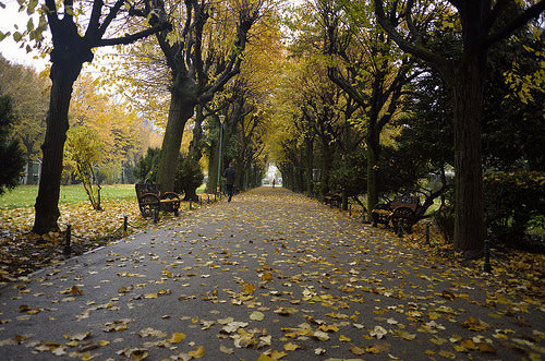 Cismigiu, Bucharest, Romania