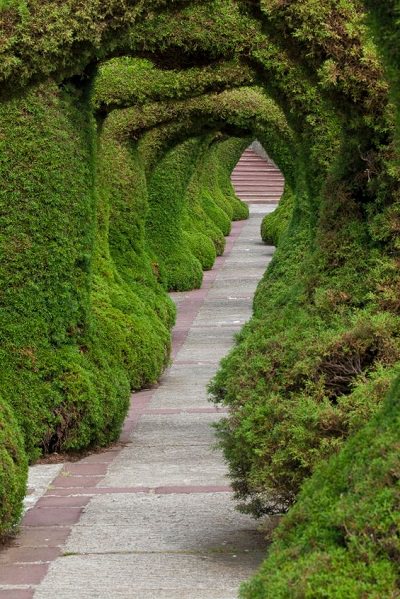 Topiary Tunnel, Zarcero, Costa Rica