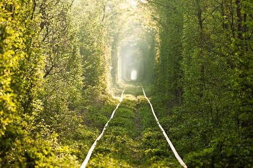 Tunnel of Love Ukraine