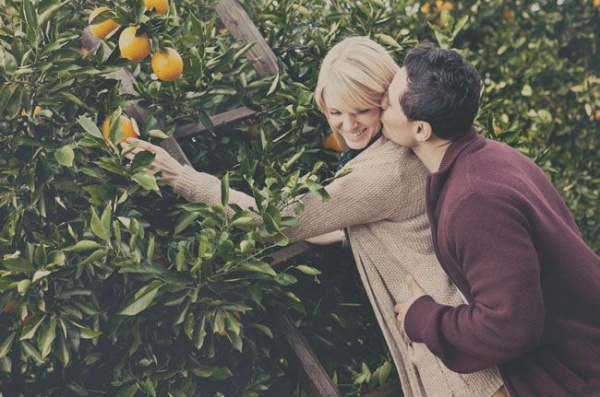 Go fruit picking