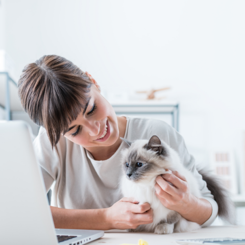 Undeniable Reasons to Bring Your Pet into the Office