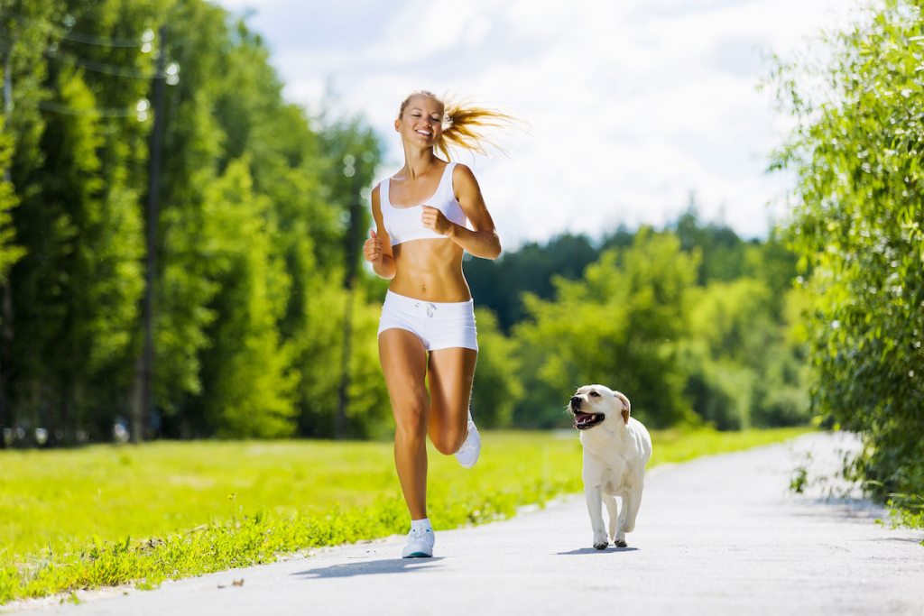 Tips for Jogging with Your Dog