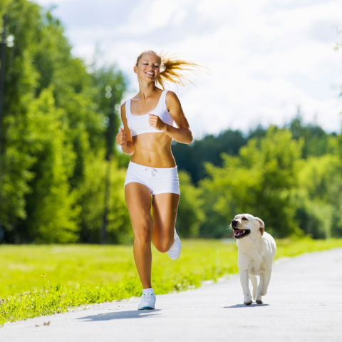 Tips for Jogging with Your Dog