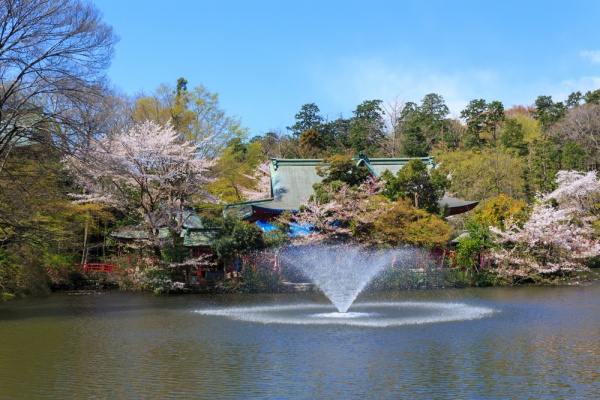 Inokashira Park and the Ghibli Museum