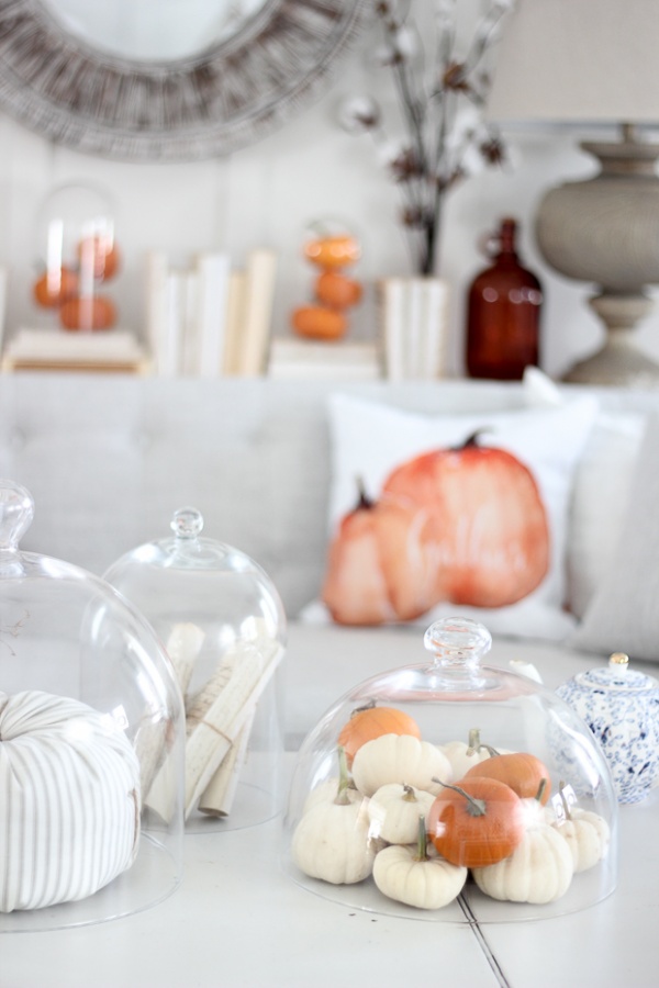 display-little-pumpkins-in-your-living-room