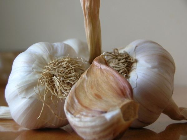 garlic