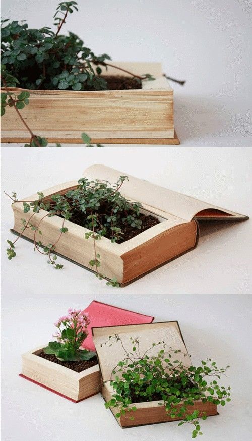 Weird planters