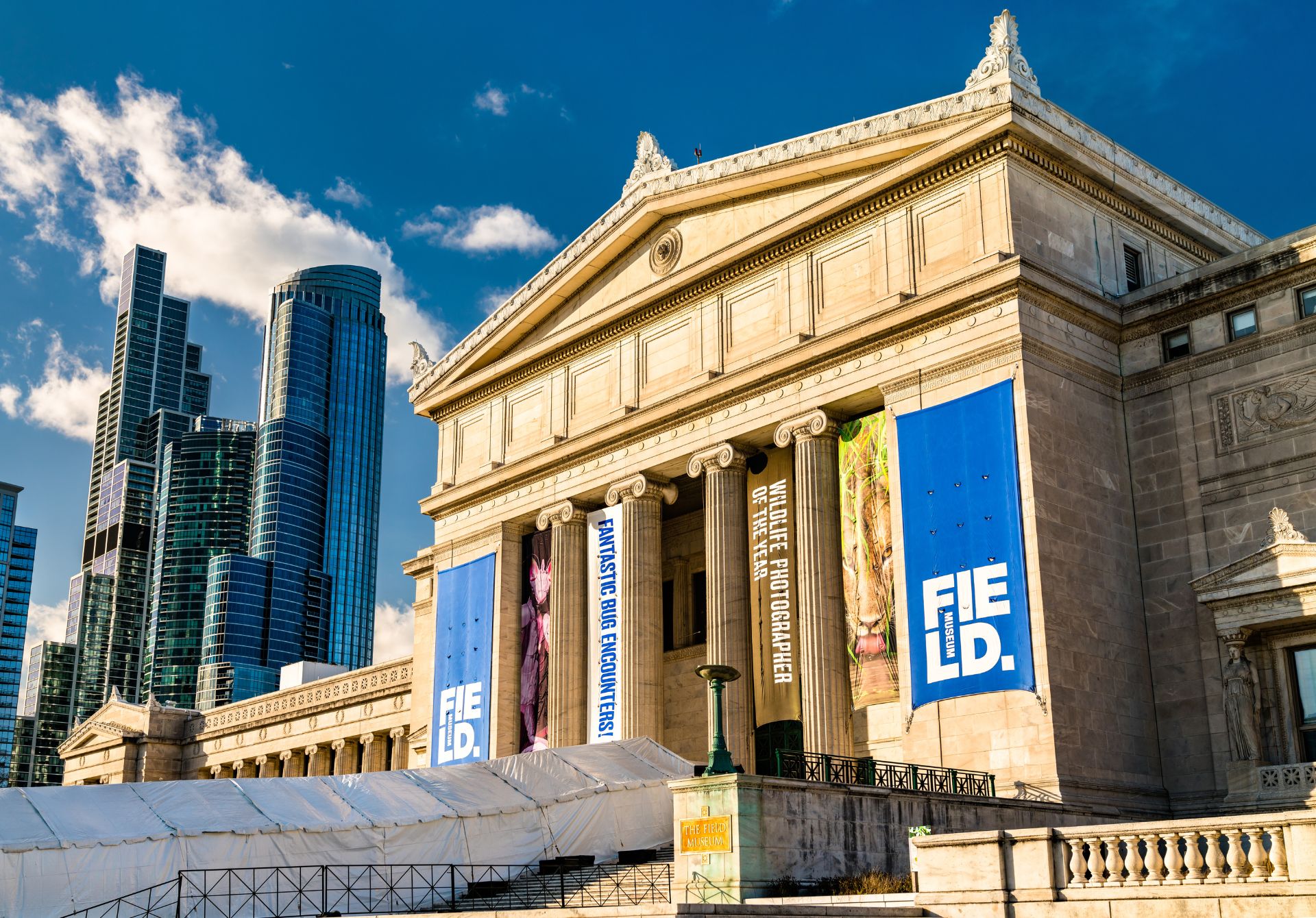 The Field Museum
