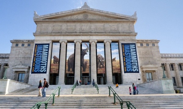 The Field Museum