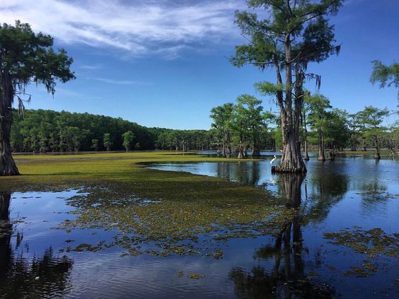 Caddo Lake, Texas