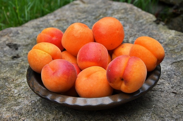 Apricots