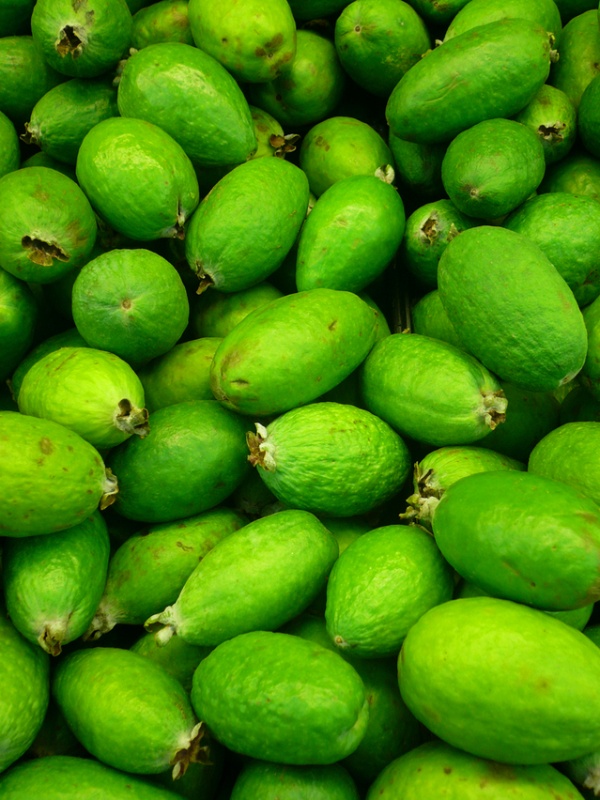 Feijoa