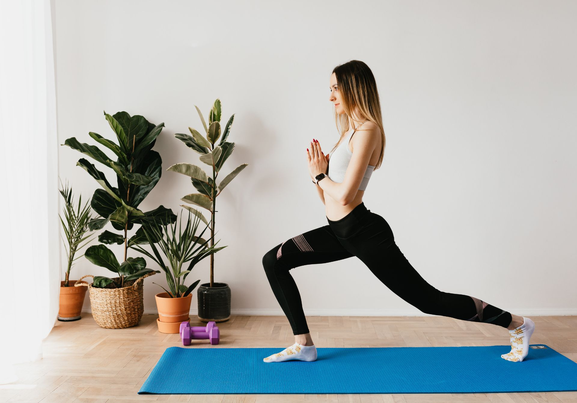 Lunges