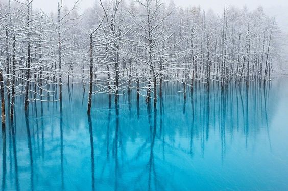 The Blue Lake