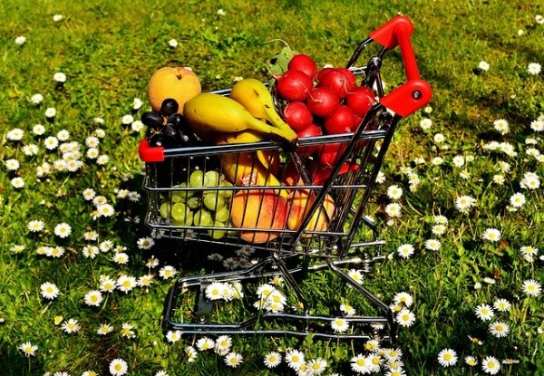 Ways to Reshape Your Shopping Cart to Lose Weight