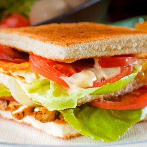 10 Fantastic Summer Sandwich Recipes