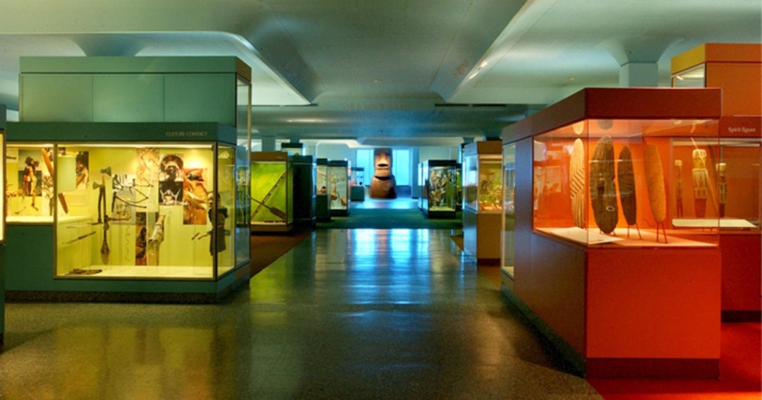 7 Fabulous Museums to Visit in New York - American Museum of Natural History