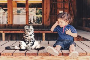 9 Ways to Prepare Your Cat for a New Baby