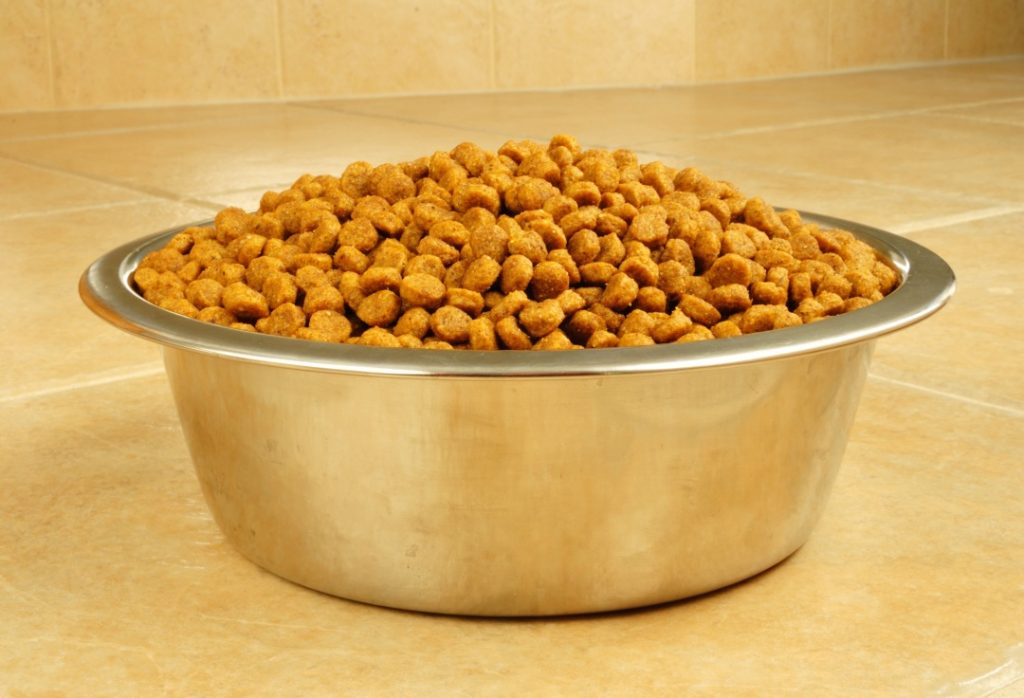 Things to Consider When Choosing Dog Food Check the ingredients list