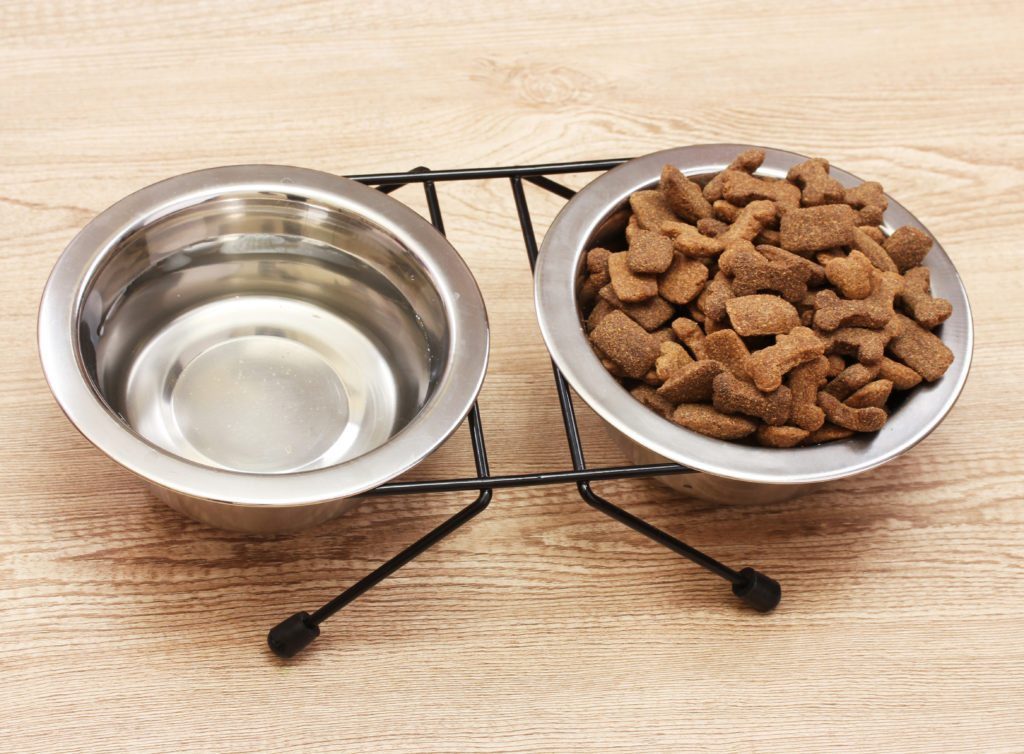 Things to Consider When Choosing Dog Food Decide on dry or wet