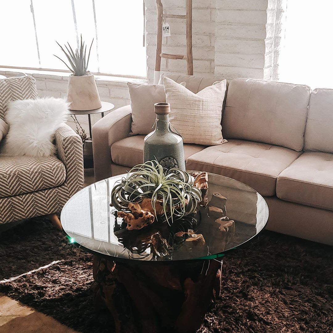 A little coffee table garden