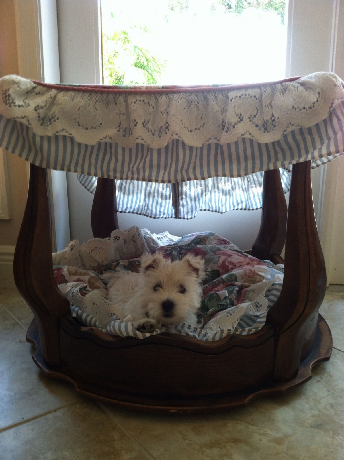 A stool can turn into a four-poster pet bed