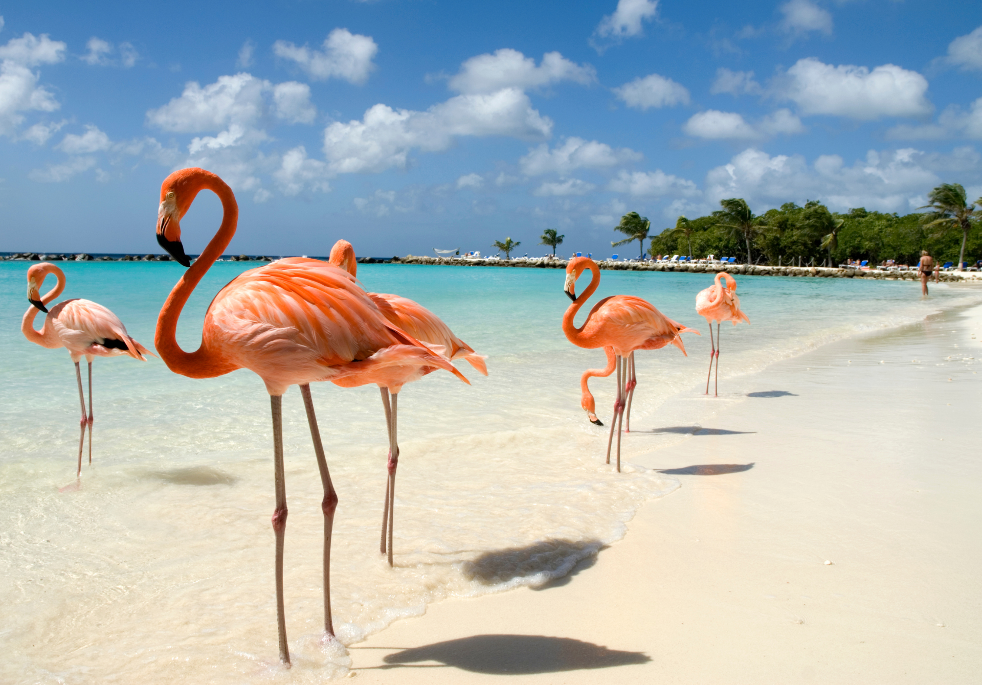 Aruba