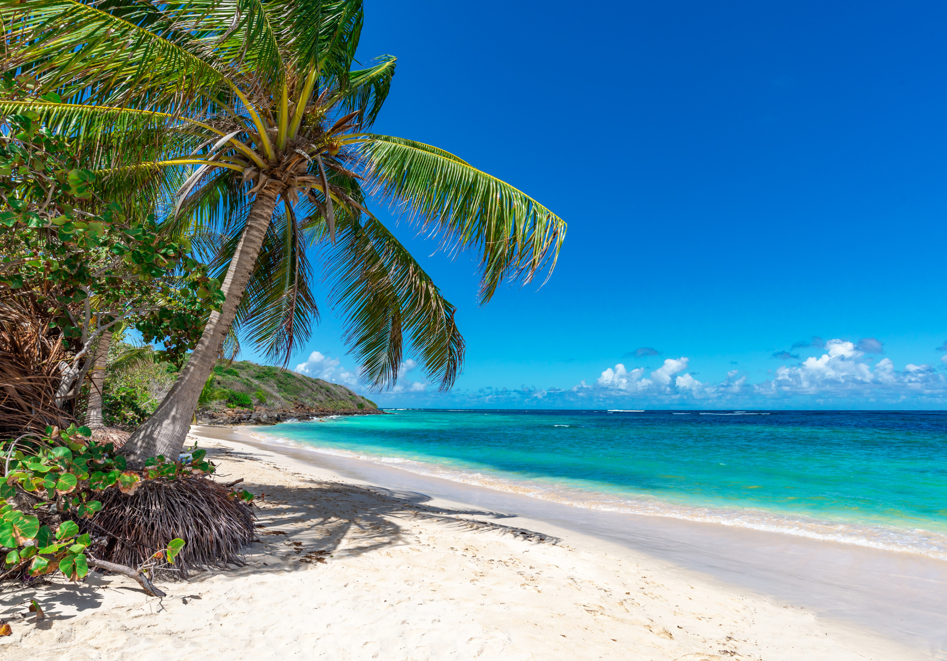 Bahamas