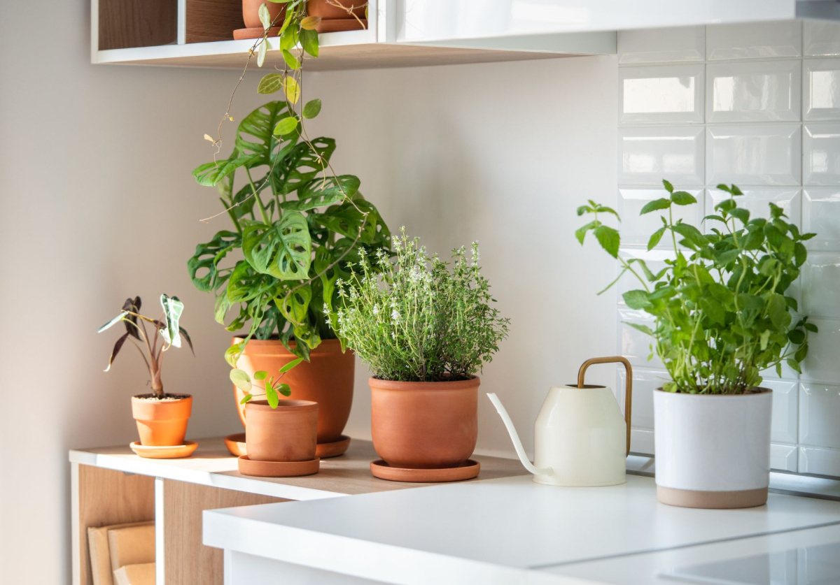 DIY Herb Garden