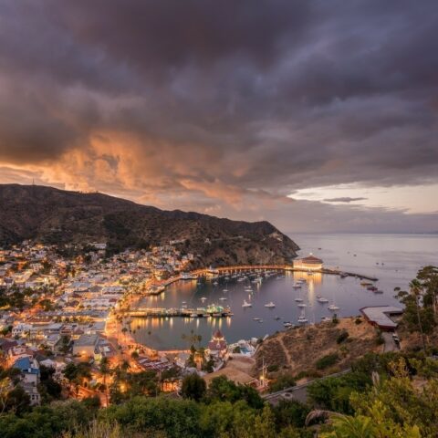 Catalina Island Travel Guide