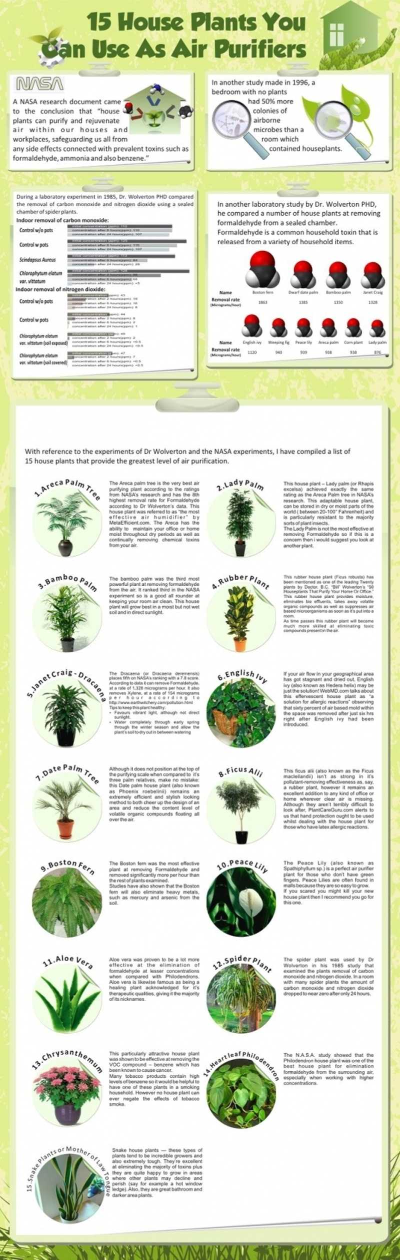 Purifying Air Infographic