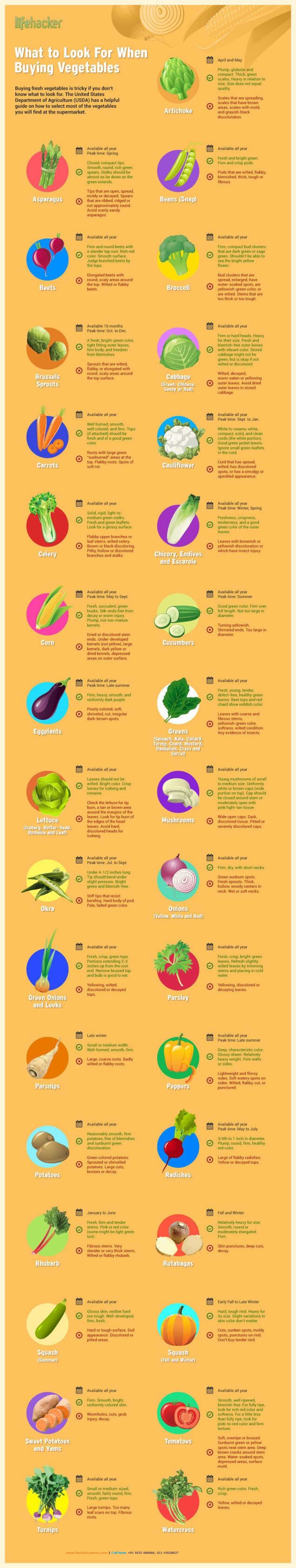 Vital Veggies Infographic